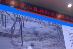 森林防火视频监控,实时守护绿色家园的科技防线
