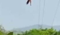 蹦极视频,蹦极惊险瞬间回顾